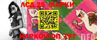 гидропоника Дмитров