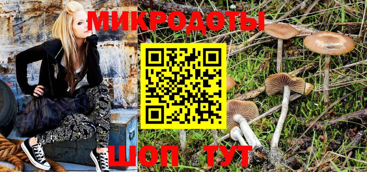 Псилоцибиновые грибы мицелий Белгород