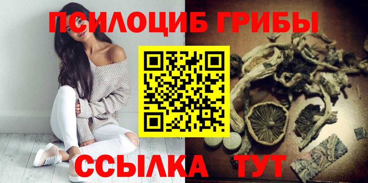 Галлюциногенные грибы MAGIC MUSHROOMS  Вход с VPN  Белгород 